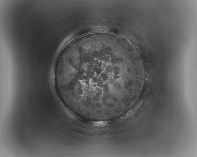 X0000114680053200910211218
