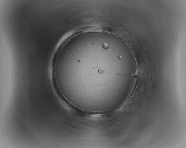 X0000114680054200910211218