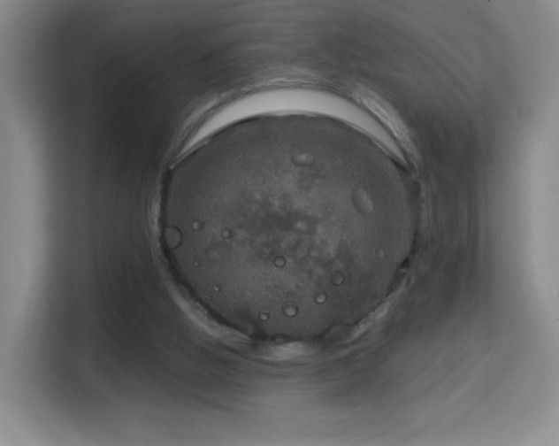 X0000114680058200910211218