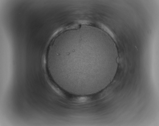 X0000114680059200910211218