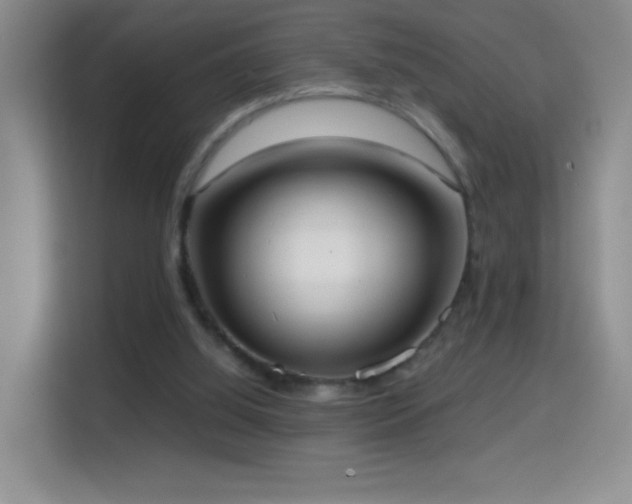 X0000114680060200910211218