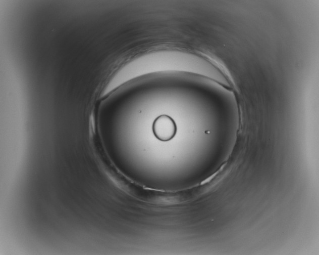 X0000114680061200910211218