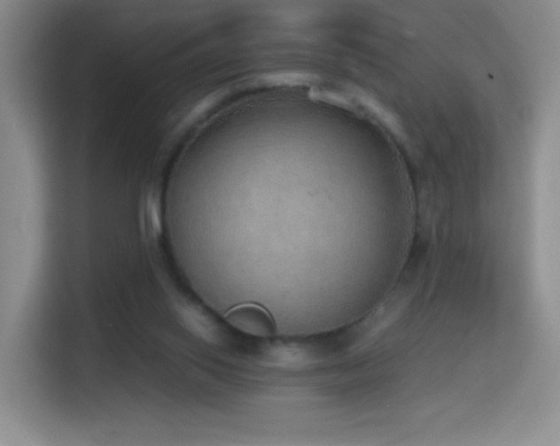 X0000114680062200910211218
