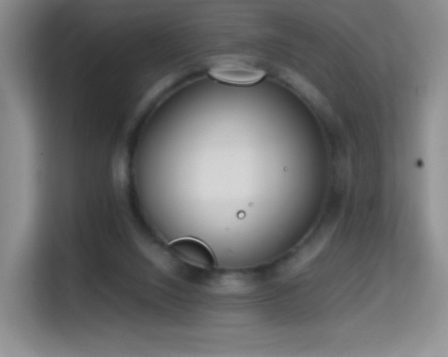 X0000114680064200910211218