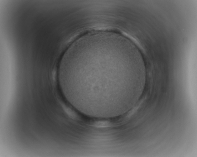 X0000114680066200910211218