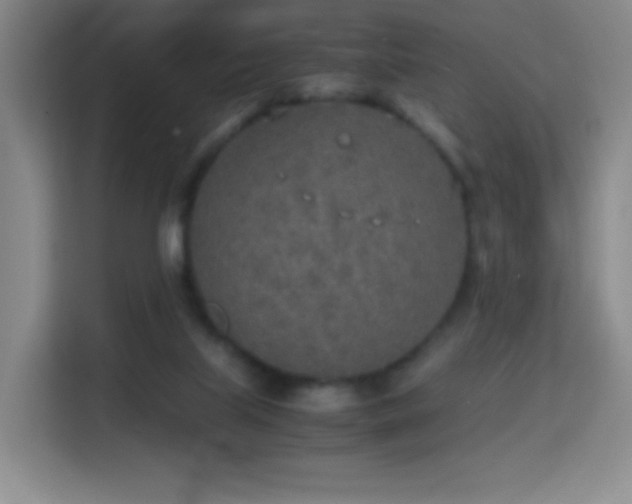 X0000114680067200910211218