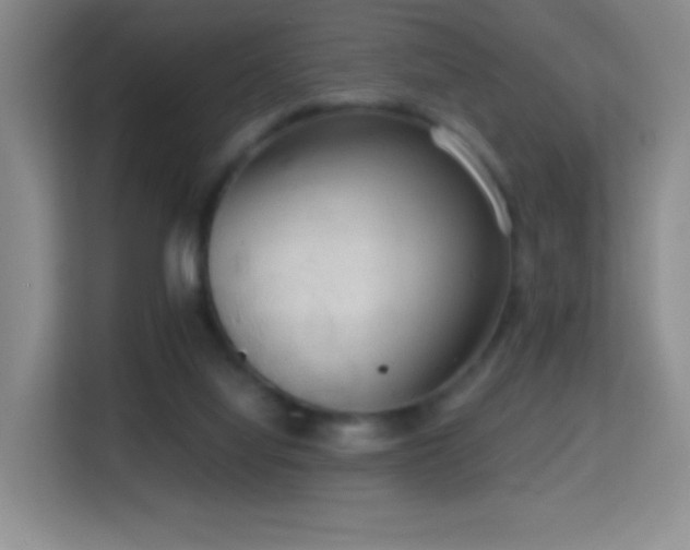X0000114680068200910211218