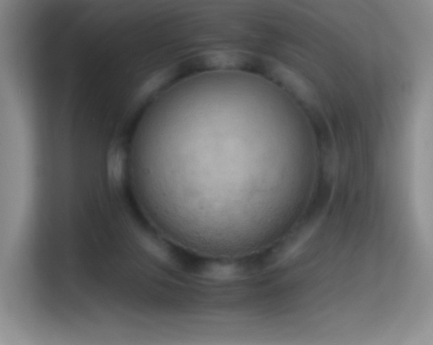 X0000114680071200910211218
