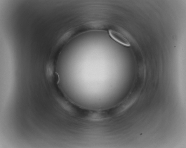X0000114680072200910211218