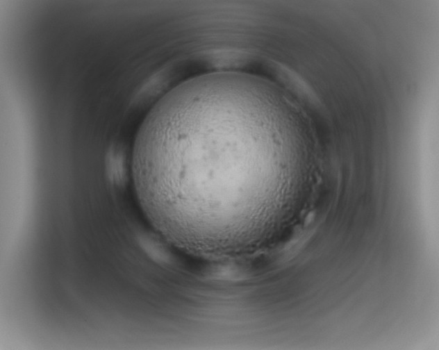 X0000114680074200910211219