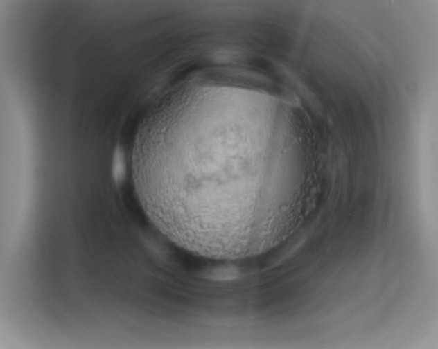 X0000114680075200910211219