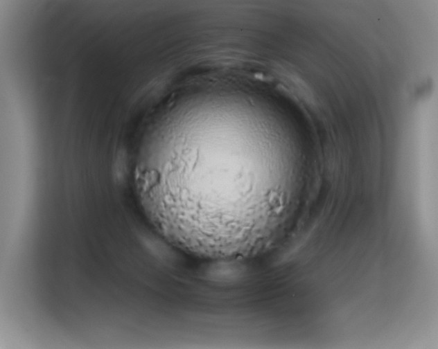X0000114680077200910211219