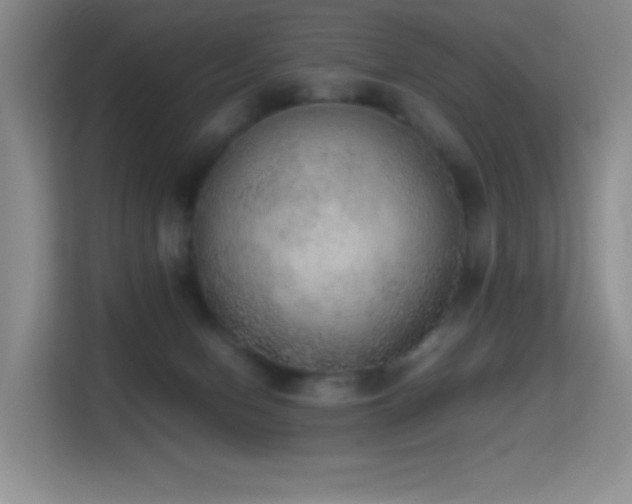 X0000114680078200910211219