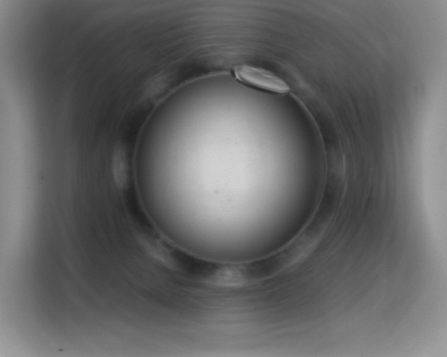 X0000114680080200910211219