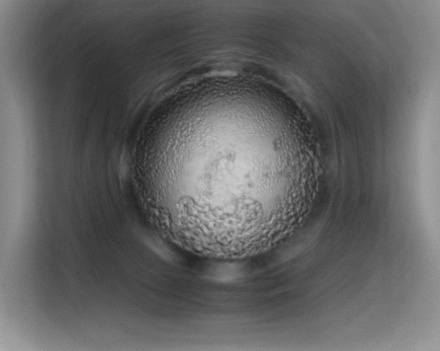 X0000114680081200910211219