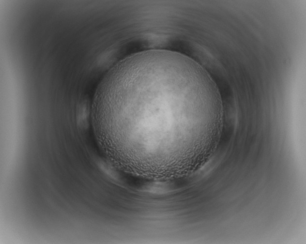 X0000114680082200910211219