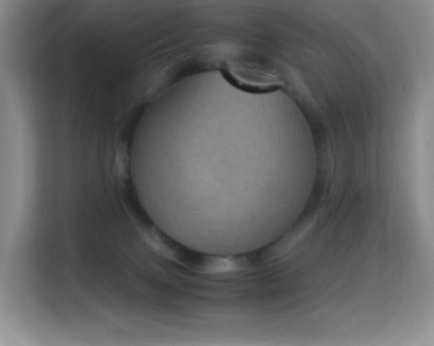 X0000114680083200910211219
