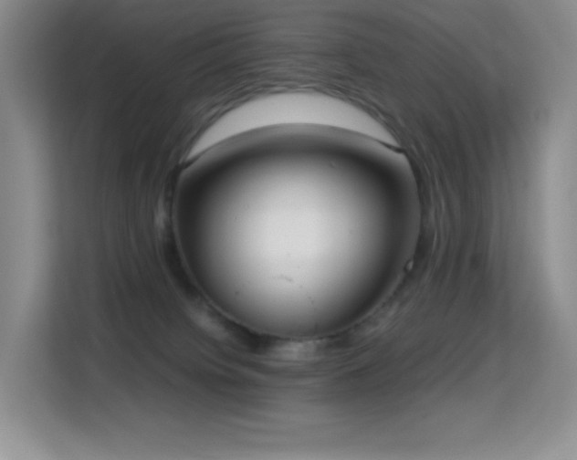 X0000114680084200910211219