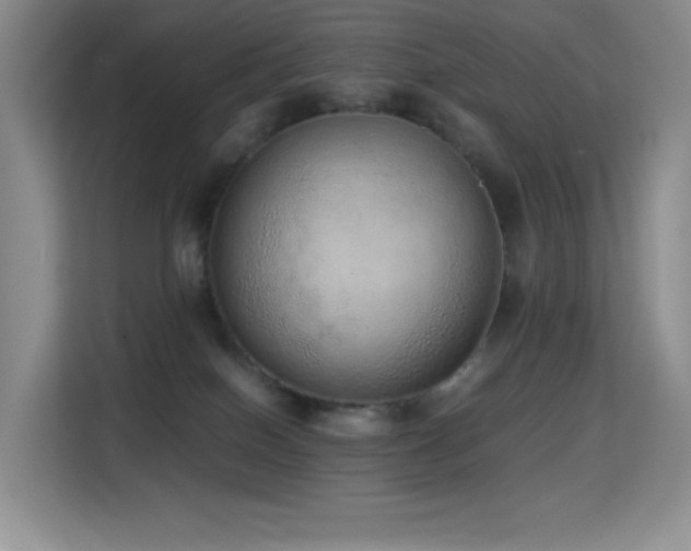 X0000114680086200910211219