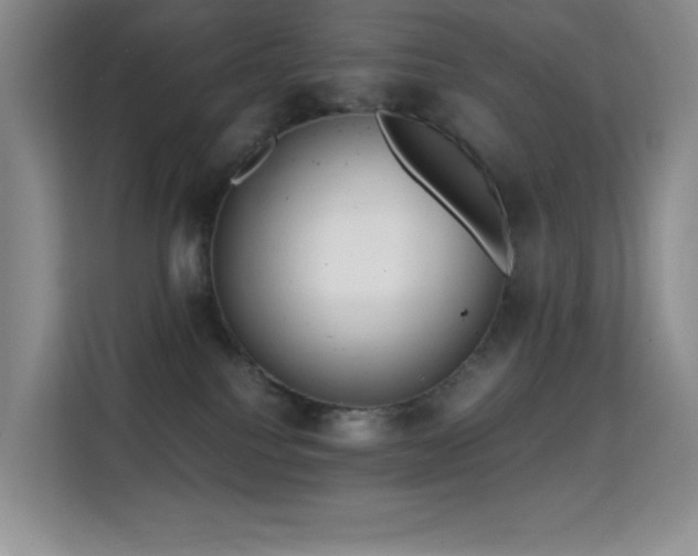X0000114680088200910211219