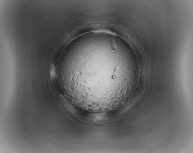 X0000114680089200910211219