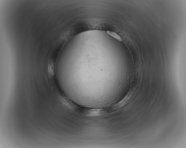 X0000114680090200910211219