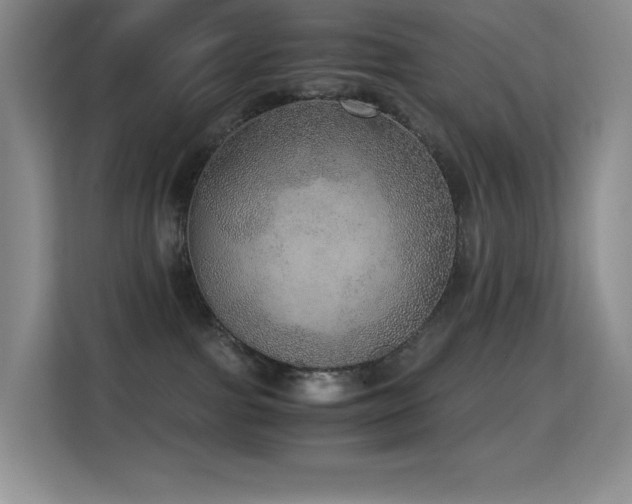 X0000114680091200910211219