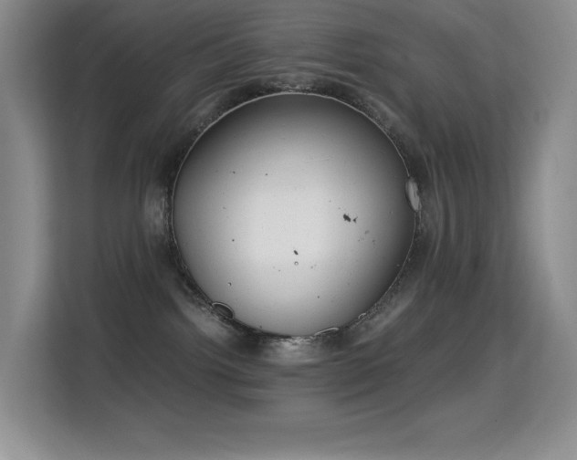 X0000114680092200910211219