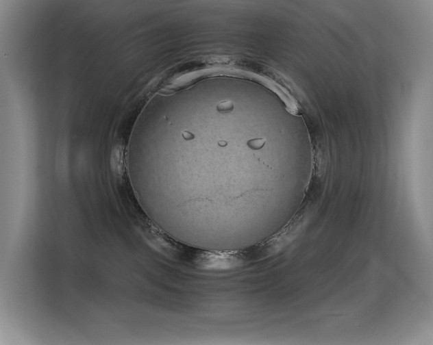 X0000114680093200910211219