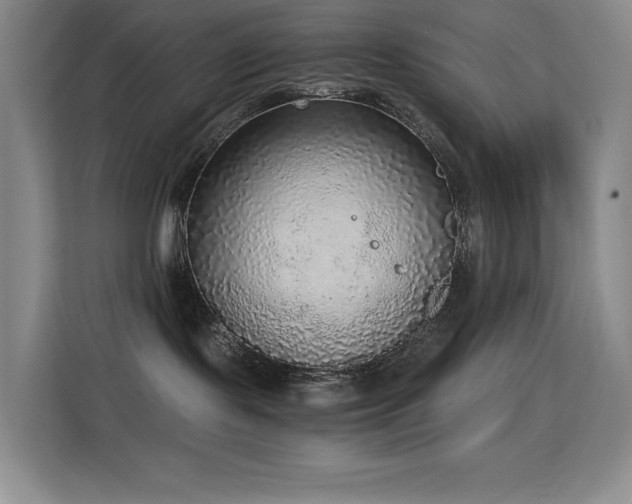 X0000114680095200910211219