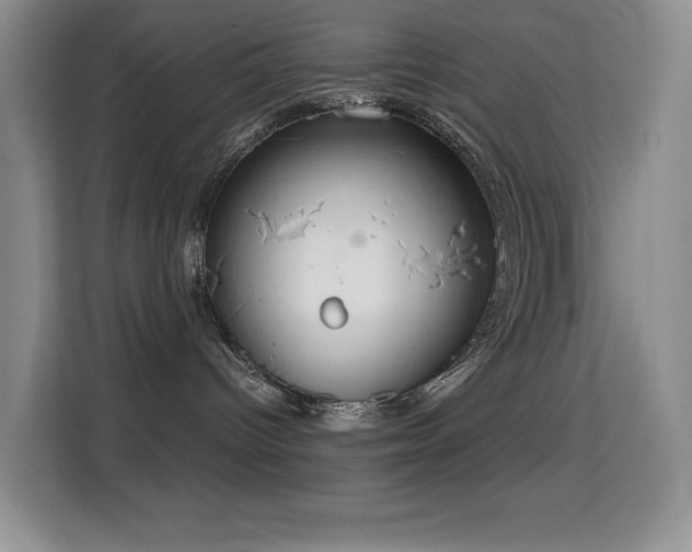 X0000114680096200910211219