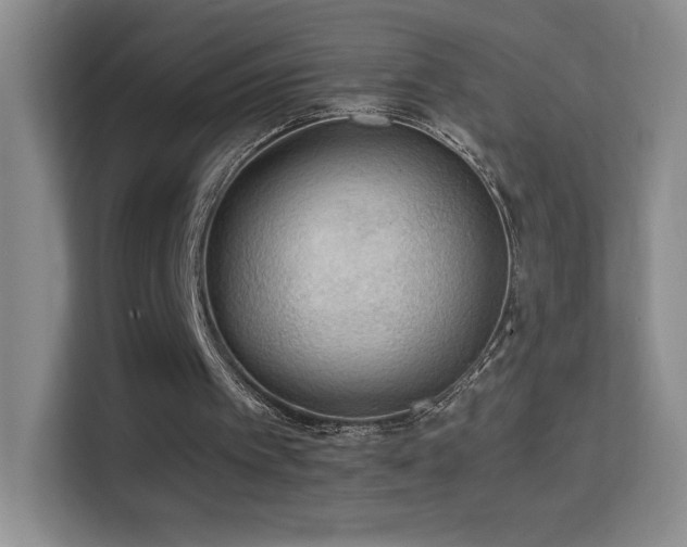 X0000114680097200910211218
