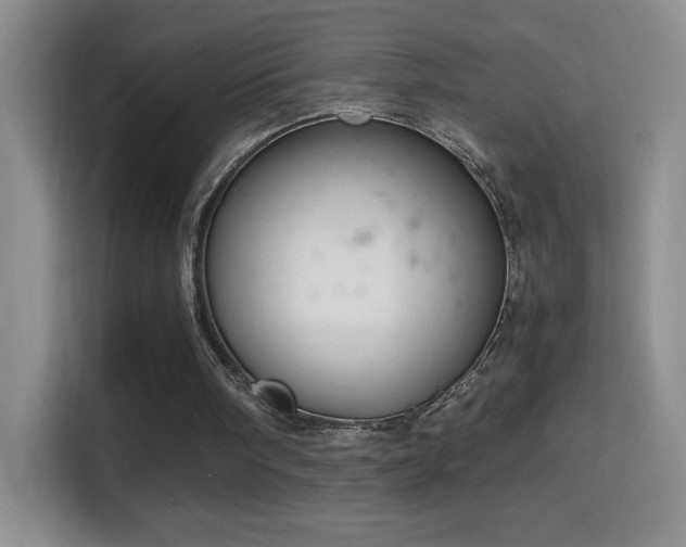 X0000114680098200910211218