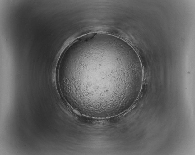 X0000114680099200910211218