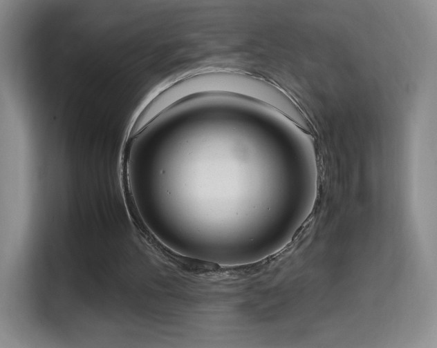 X0000114680100200910211218