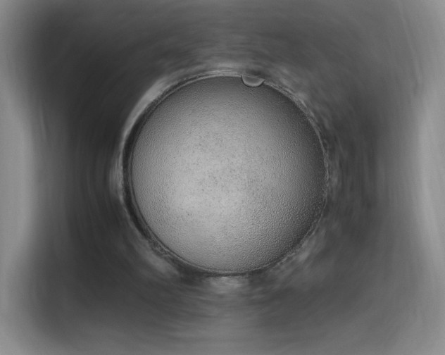 X0000114680102200910211218