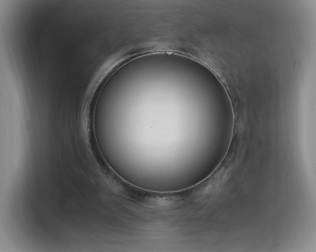 X0000114680103200910211218