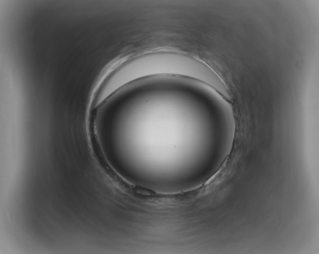 X0000114680104200910211218