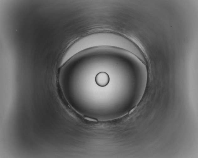 X0000114680105200910211218