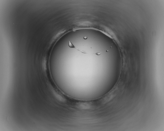 X0000114680106200910211218