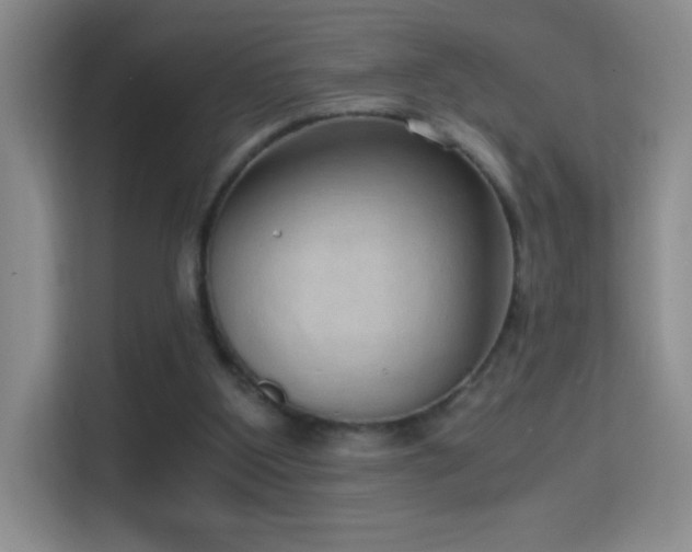 X0000114680107200910211218