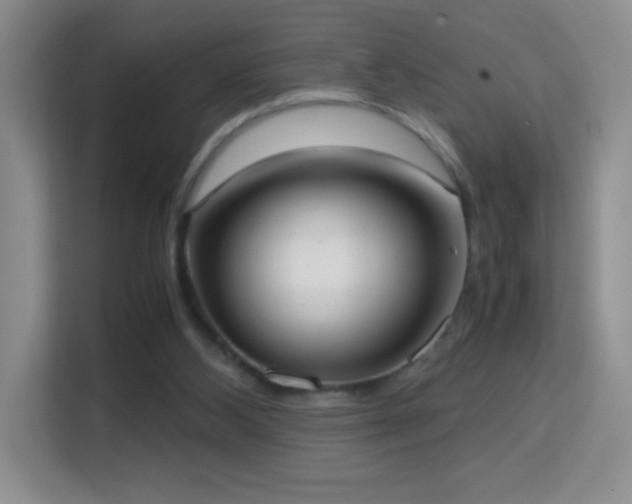 X0000114680108200910211218