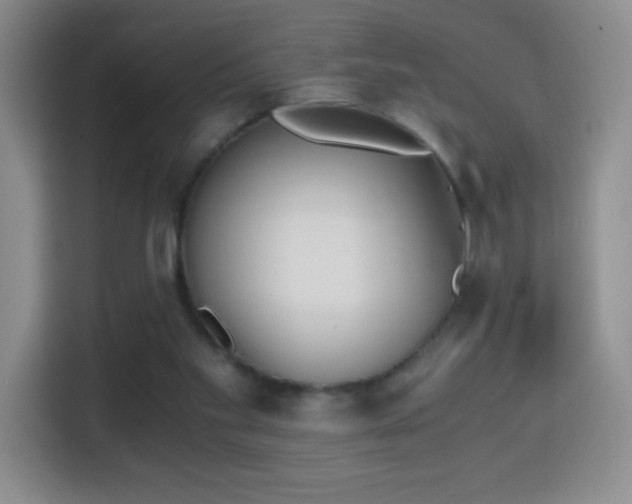 X0000114680109200910211218