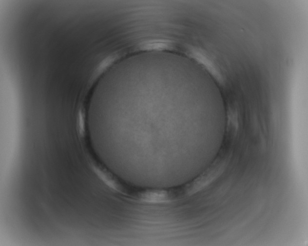 X0000114680110200910211218