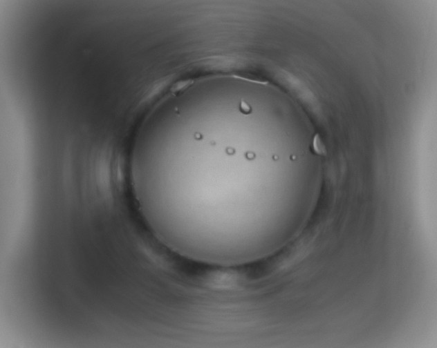 X0000114680115200910211218