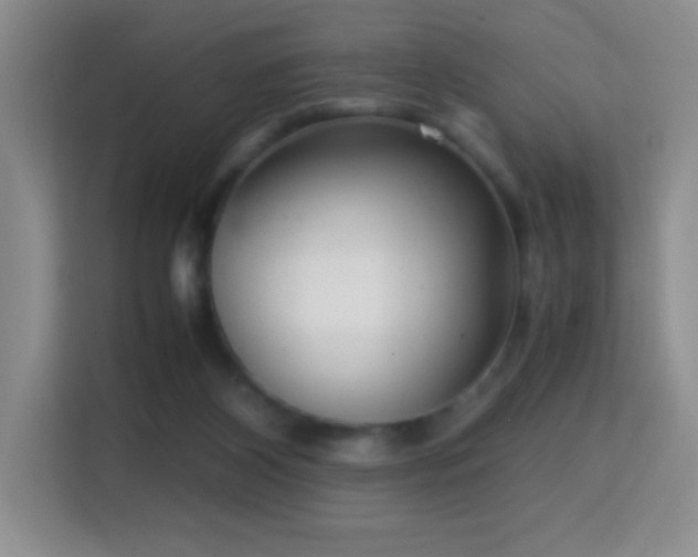 X0000114680116200910211218