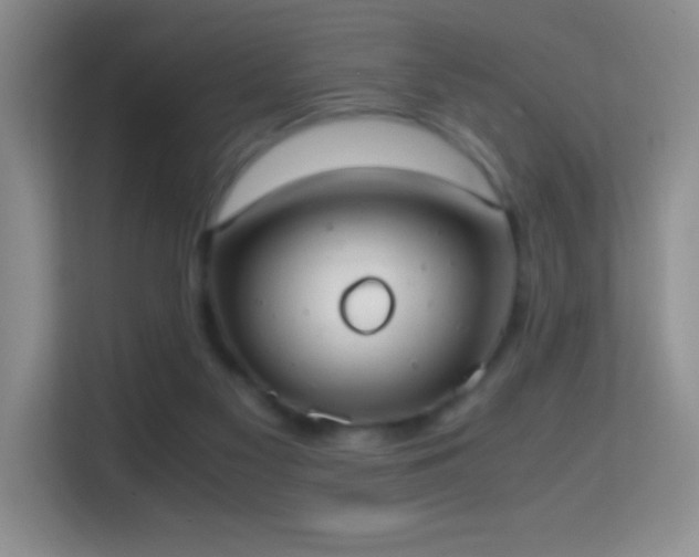 X0000114680117200910211218