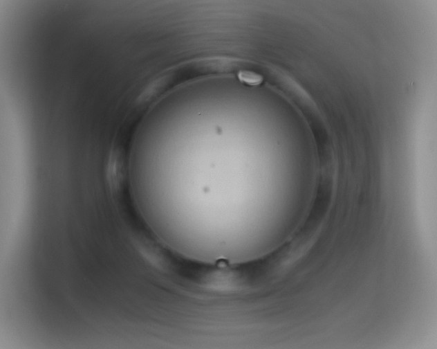 X0000114680119200910211218
