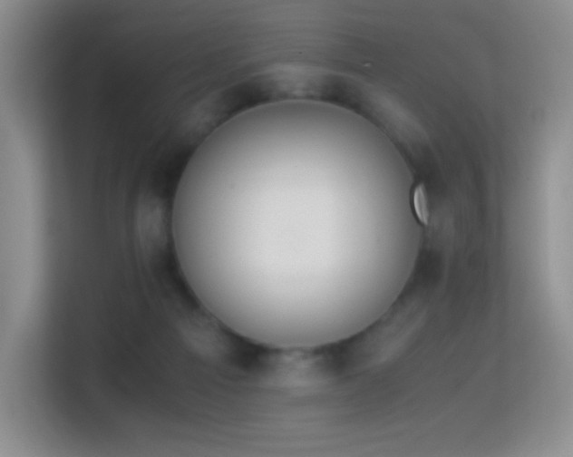 X0000114680121200910211218