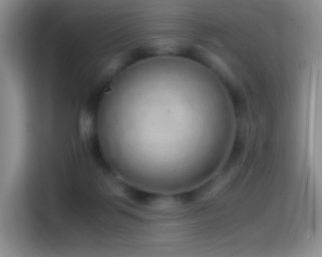 X0000114680123200910211218